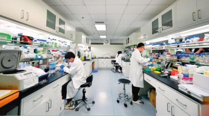 技术服务与技术成果转让 驱动创新与商业化的双引擎