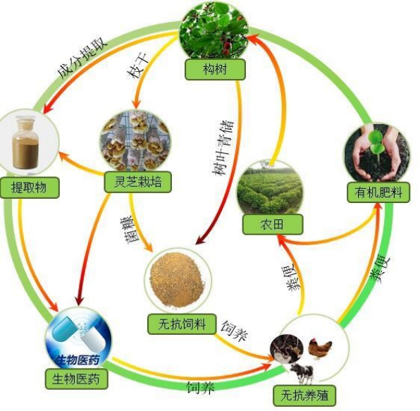 农林废弃物功能化利用技术与应用-科技成果转化-科易网技术转让